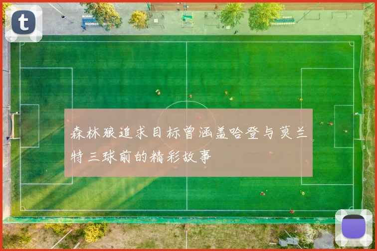 森林狼追求目标曾涵盖哈登与莫兰特三球前的精彩故事