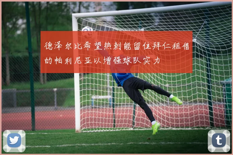 德泽尔比希望热刺能留住拜仁租借的帕利尼亚以增强球队实力
